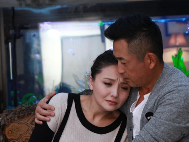 婚战电视剧分集介绍