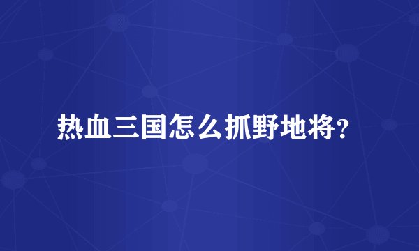 热血三国怎么抓野地将？