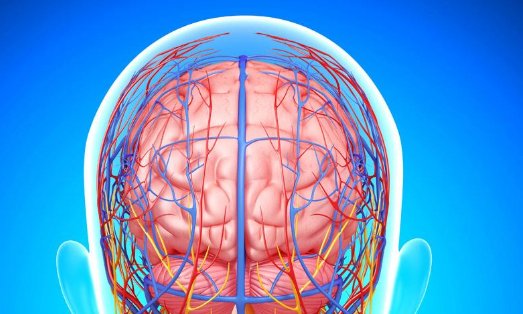 人体功率是什么，它是怎样计算的？