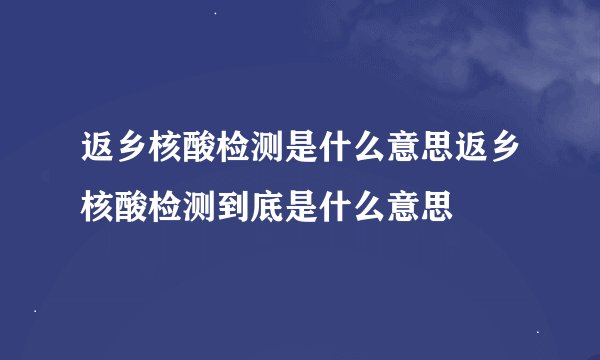 返乡核酸检测是什么意思返乡核酸检测到底是什么意思