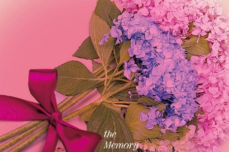 半暖时光最后和谁在一起了