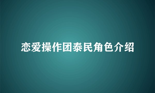 恋爱操作团泰民角色介绍