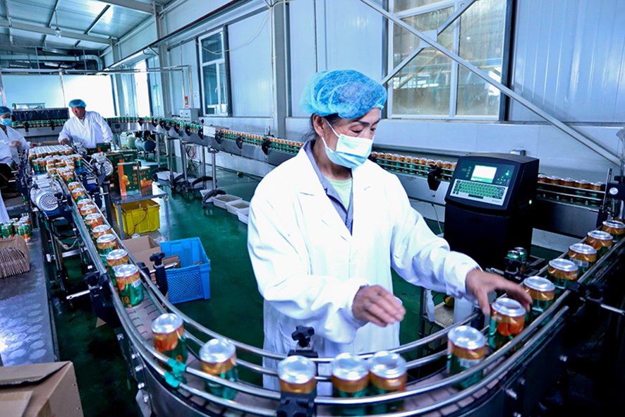 】质量概念涵盖的对象是___________。