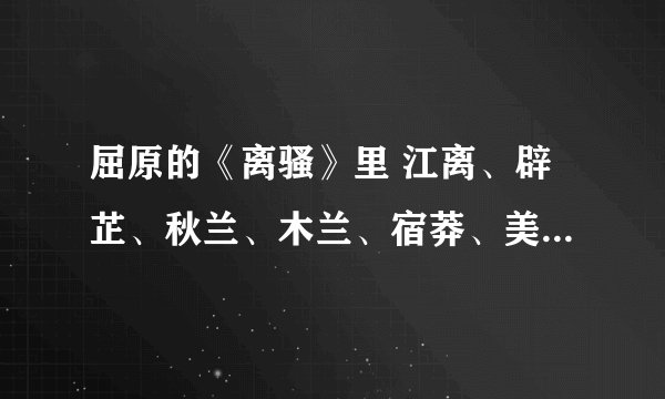 屈原的《离骚》里 江离、辟芷、秋兰、木兰、宿莽、美人、众芳、申椒、菌桂、蕙茝、荃 各代表什么 寓意是什