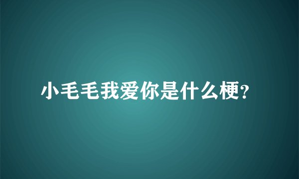 小毛毛我爱你是什么梗？
