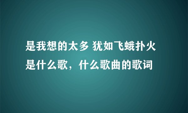 是我想的太多 犹如飞蛾扑火是什么歌，什么歌曲的歌词