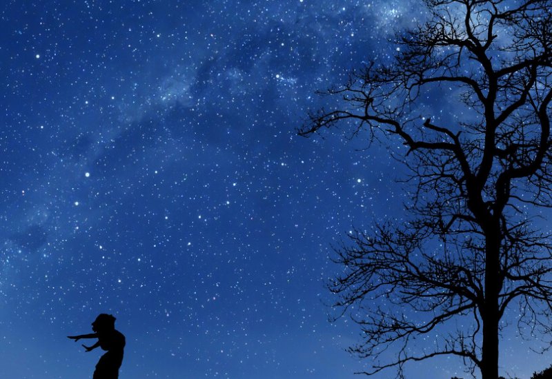 你曾经做过怎样的五彩斑斓的梦?回忆一下,尝试用优美的语言写下来