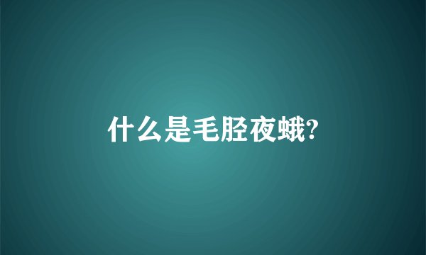 什么是毛胫夜蛾?