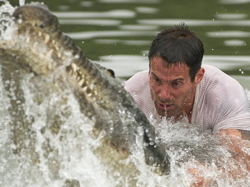 10部高分蟒蛇电影