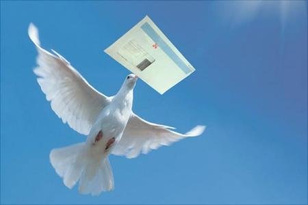 为什么蛇会进屋子里来呢？