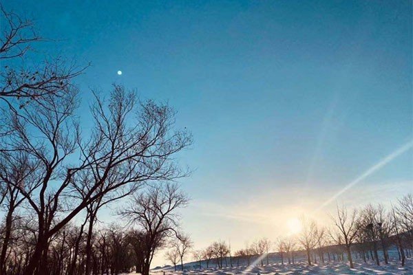 雪后的阳光是什么样的