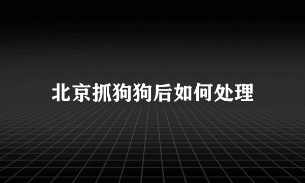 北京抓狗狗后如何处理