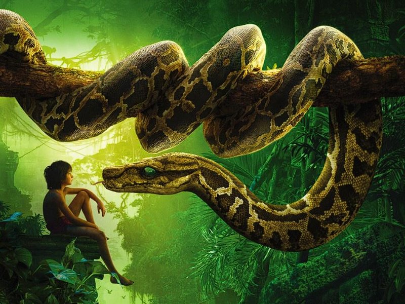 10部高分蟒蛇电影