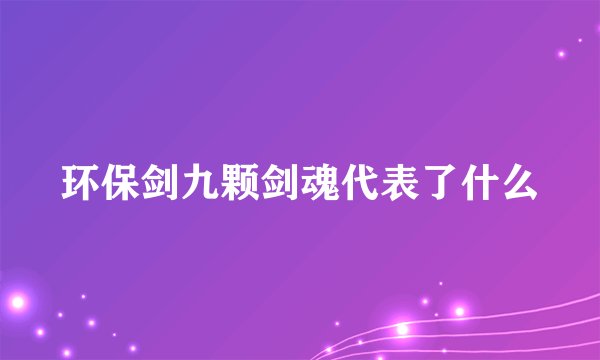 环保剑九颗剑魂代表了什么