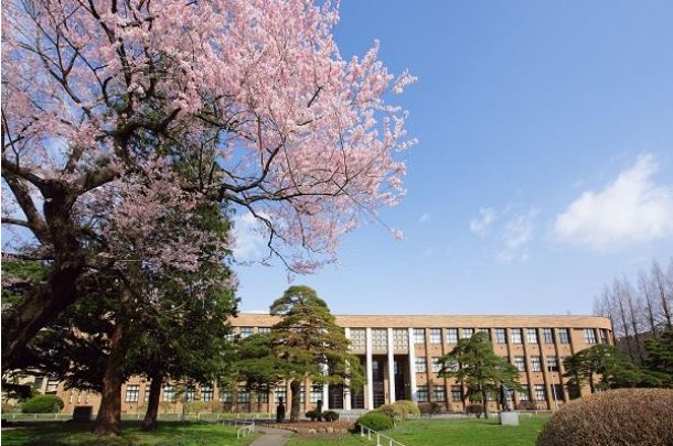 日本一本和二本三区别