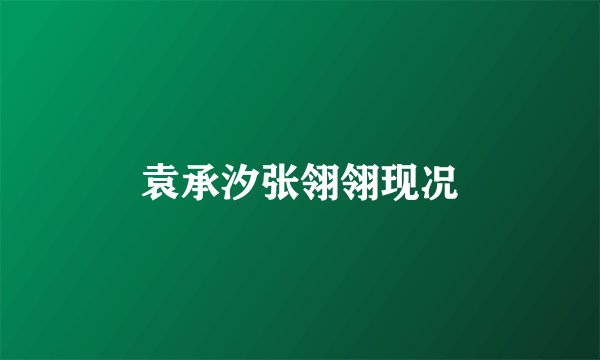 袁承汐张翎翎现况