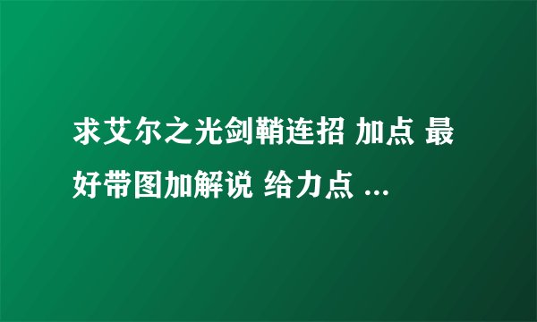 求艾尔之光剑鞘连招 加点 最好带图加解说 给力点 靠谱点 50金全部家当