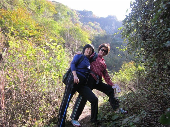 孽恋情缘：山村多情女人花的小说目录：