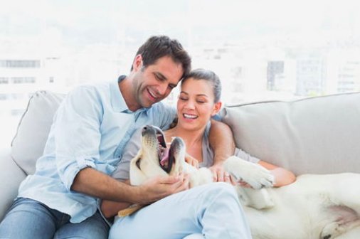 人大代表建议设置结婚辅导期，夫妻关系协调的原则是什么？