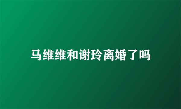 马维维和谢玲离婚了吗