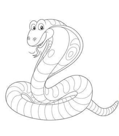 软硬不吃,打一生肖