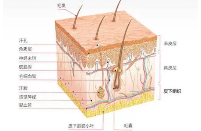 十万个为什么一问一答有哪些？