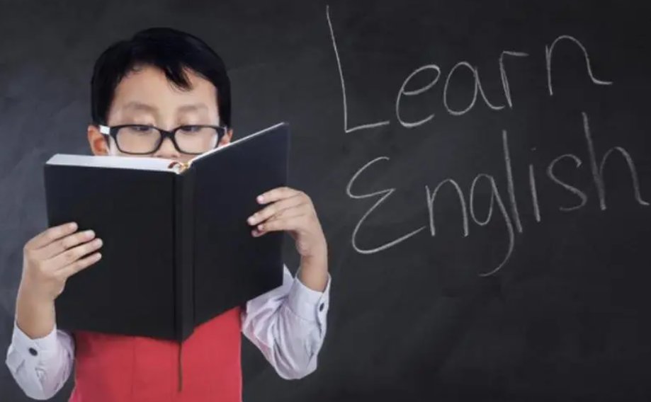 provides是什么意思