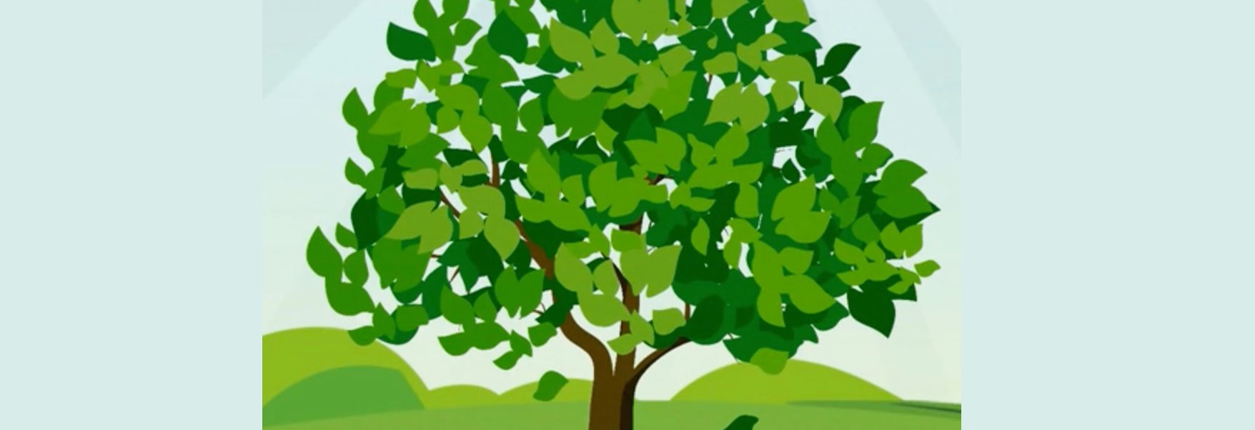 绿的拼音是什么？