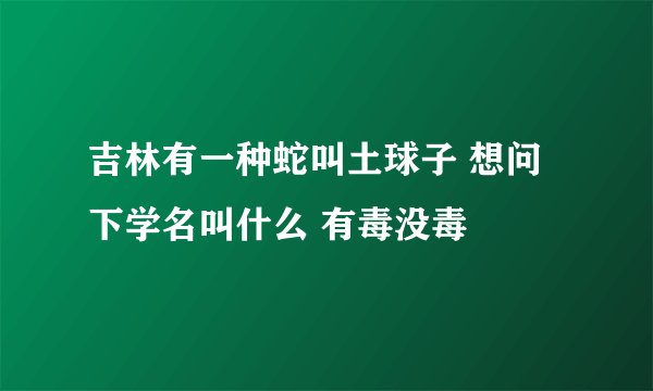 吉林有一种蛇叫土球子 想问下学名叫什么 有毒没毒