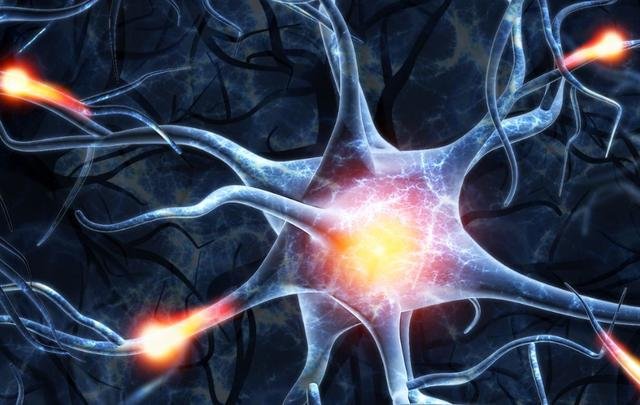 人死后真的什么都没有了吗？