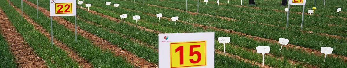 土壤容重名词解释