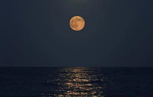 今晚的月色真美下一句是什么