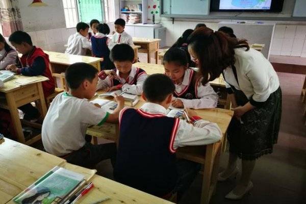 单枞怎么读什么意思