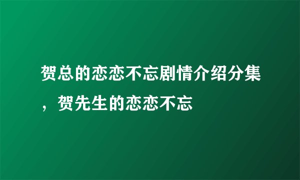 贺总的恋恋不忘剧情介绍分集，贺先生的恋恋不忘