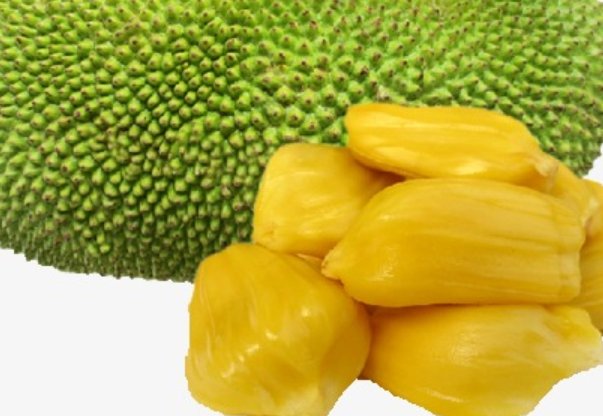 菠萝蜜产地在哪里