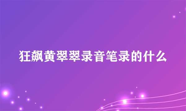 狂飙黄翠翠录音笔录的什么
