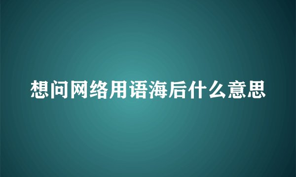 想问网络用语海后什么意思