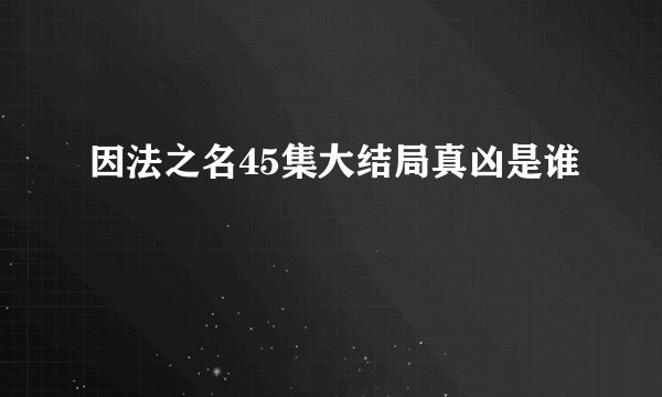 因法之名45集大结局真凶是谁