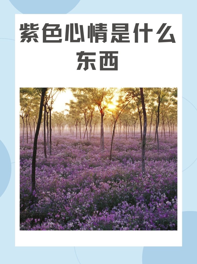紫色心情是什么意思？