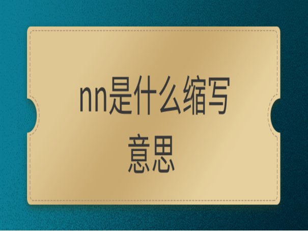 NN是什么意思?