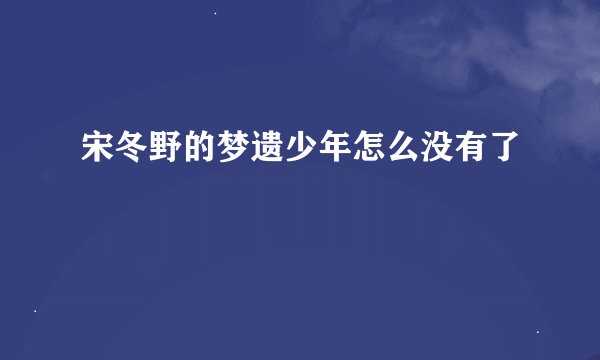 宋冬野的梦遗少年怎么没有了