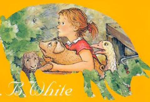 夏洛是个什么样的人呢？