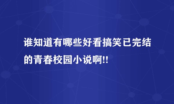谁知道有哪些好看搞笑已完结的青春校园小说啊!!