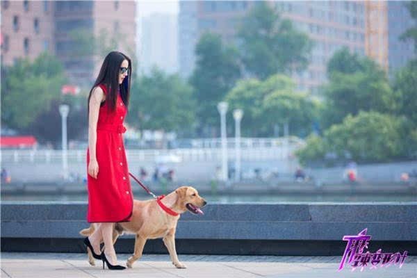 麻辣变形计 电视剧演员表