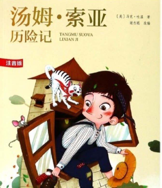 《汤姆索亚历险记》故事的梗概