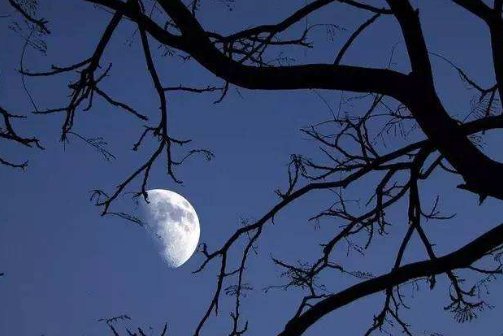 寂寞沙洲冷的意思是什么？