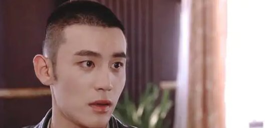 电视剧请君演员表