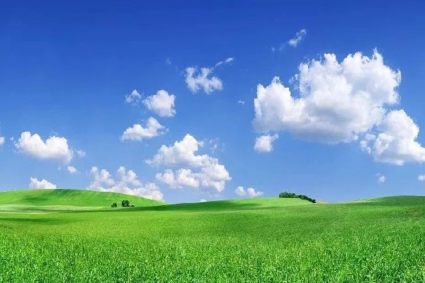 蓝天计划是什么项目