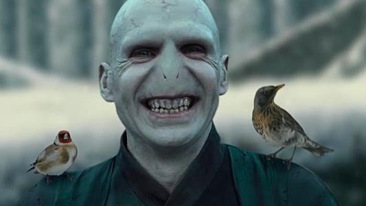 伏地魔什么意思？