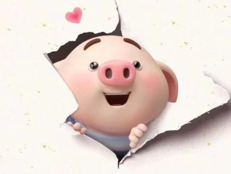 秀逗了是什么意思？